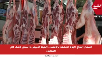 أسعار الفراخ اليوم الجمعة بالأقصر.. الكيلو الأبيض والبلدي وصل كام النهاردة